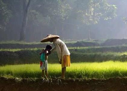 Urgensi Bimbingan Orang Tua Dalam Meningkatkan Motivasi Belajar Peserta Didik Pada Keluarga Petani (Studi Pada Dua MI di Desa Bagik Payung)